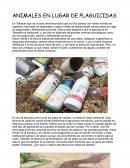 ANIMALES EN LUGAR DE PLAGUICIDAS