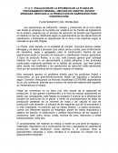 EVALUACIÓN DE LA EFICIENCIA DE LA PLANTA DE PROCESAMIENTO MINERAL, UBICADA EN CARIPITO, ESTADO MONAGAS. DEDICADA A LA PRODUCCION DE AGREGADOS PARA CONSTRUCCIÓN