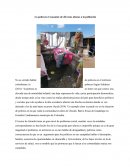 La pobreza el causante de diversos abusos a la población