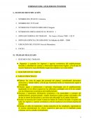 FORMATO DEL ANÁLISIS DE PUESTOS