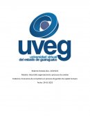 Escenarios de consultoría en procesos de gestión de capital humano