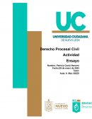Derecho Procesal Civil Actividad