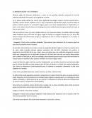 EL BANDERA NEGRA Y SU ESPERANZA