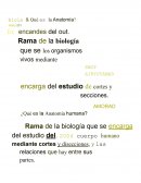 ¿Qué es la Anatomía humana?