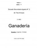 Ganadería. Producción de cerdos