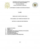 SILABO Medicina Familia y Comunidad