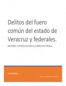 DELITOS CONTRA LA VIDA Y LA SALUD PERSONAL