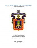 El derecho en mi vida y en mi profesión