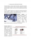 Ensayo usuarios de la información financiera