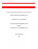 SOCIEDAD DE AUDITORÍA Y ASOCIADOS RHUGUSEM SOCIEDAD CIVIL DE RESPONSABILIDAD LIMITADA