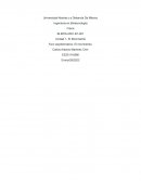 Foro socioformativo: El movimiento