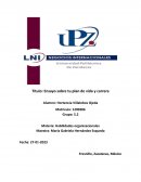 Ensayo sobre tu plan de vida y carrera