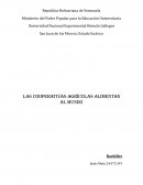 Las cooperativas agrícolas alimentan al mundo