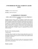 LA PROPIEDAD Y POSESION
