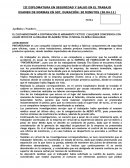 EMPRESA DE FABRICACION DE PINTURAS “PINTAPERUVIAN”