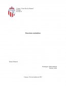 Reacciones enzimáticas