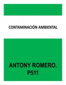 Trabajo Desarrollo Sustentable