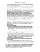 Trabajo Practico de Sociología