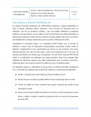 Caso práctico 2: Precision Worldwide, Inc