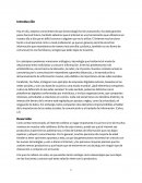 Informe de tecnología