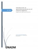 Reconocimiento de la necesidad: Tarimas de madera (pallet)