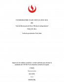 Impacto de las medidas económicas y sociales aplicadas para afrontar la pandemia del COVID-19 en la situación económica de España