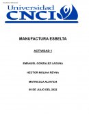 La productividad en la manufactura y sus limitantes