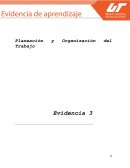 Planeación y Organización del Trabajo