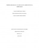 PORTE DE ARMA BLANCA” Y SU EFICACIA EN LA REDUCCIÓN DE LA CRIMINALIDAD