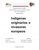 Indigenas originarios