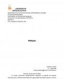 Wattpad, la plataforma que está revolucionando el sector literario.