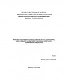 Fabricacion Cubitos Artesanales