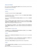 Ramas de la filosofia