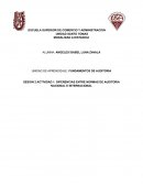 FUNDAMENTOS TEORICOS DE LA AUDITORIA