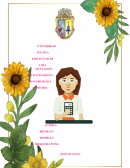 INDEPENDENCIA DEL AUDITOR