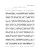 Experiencia de la primera infancia