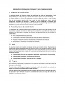 EROSIÓN INTERNA EN PRESAS Y SUS FUNDACIONES