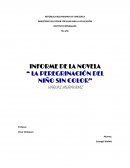 INFORME DE LA NOVELA “ LA PEREGRINACIÓN DEL NIÑO SIN COLOR”