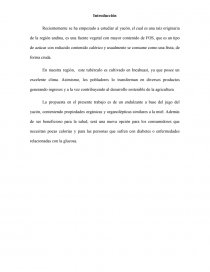 PROMOCION - PRODUCTO INTEGRADOR. Página 1