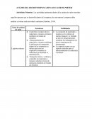 ANÁLISIS DEL MICROENTORNO (CADENA DE VALOR DE PORTER)