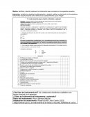 ANÁLISIS DE INSTRUEMENTOS DE INVESTIGACIÓN