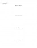 PROYECTO DE APLICACION