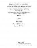ANÁLISIS SITUACIONAL DE LA PANDEMIA DEL CORONAVIRUS EN EL PERÚ