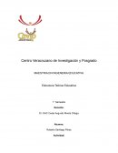 Estructura Teórica Educativa