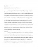 IMPACTO SOCIO-CULTURAL DEL TURISMO