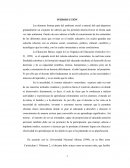 Actitudes de los docentes de la I y II etapa de educación básica de la Unidad Educativa “Br. José Rafael Briceño Altuve "