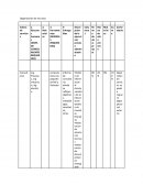 Organización de recursos