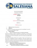 Metodología de Riesgo Risk It