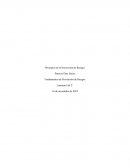 Fundamentos de Prevención de Riesgos