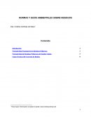 NORMAS Y GUÍAS AMBIENTALES SOBRE RESIDUOS